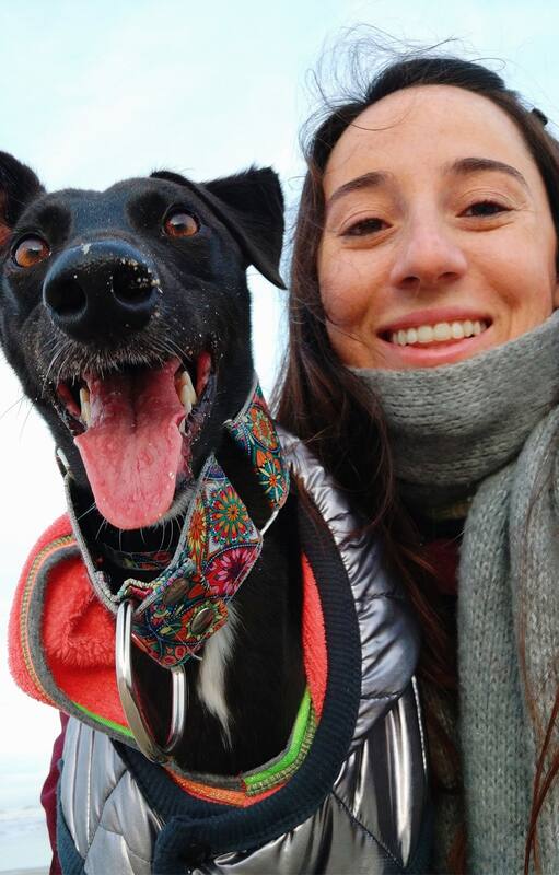 Descarte galguero: la acuchillaron y la dejaron en un descampado; la ayuda llegó justo a tiempo