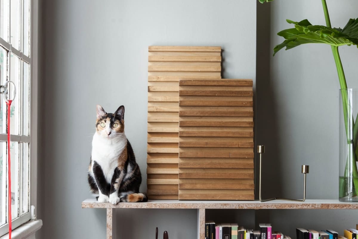 Inspirador. Ideas prácticas y creativas en el hogar-estudio de un arquitecto.