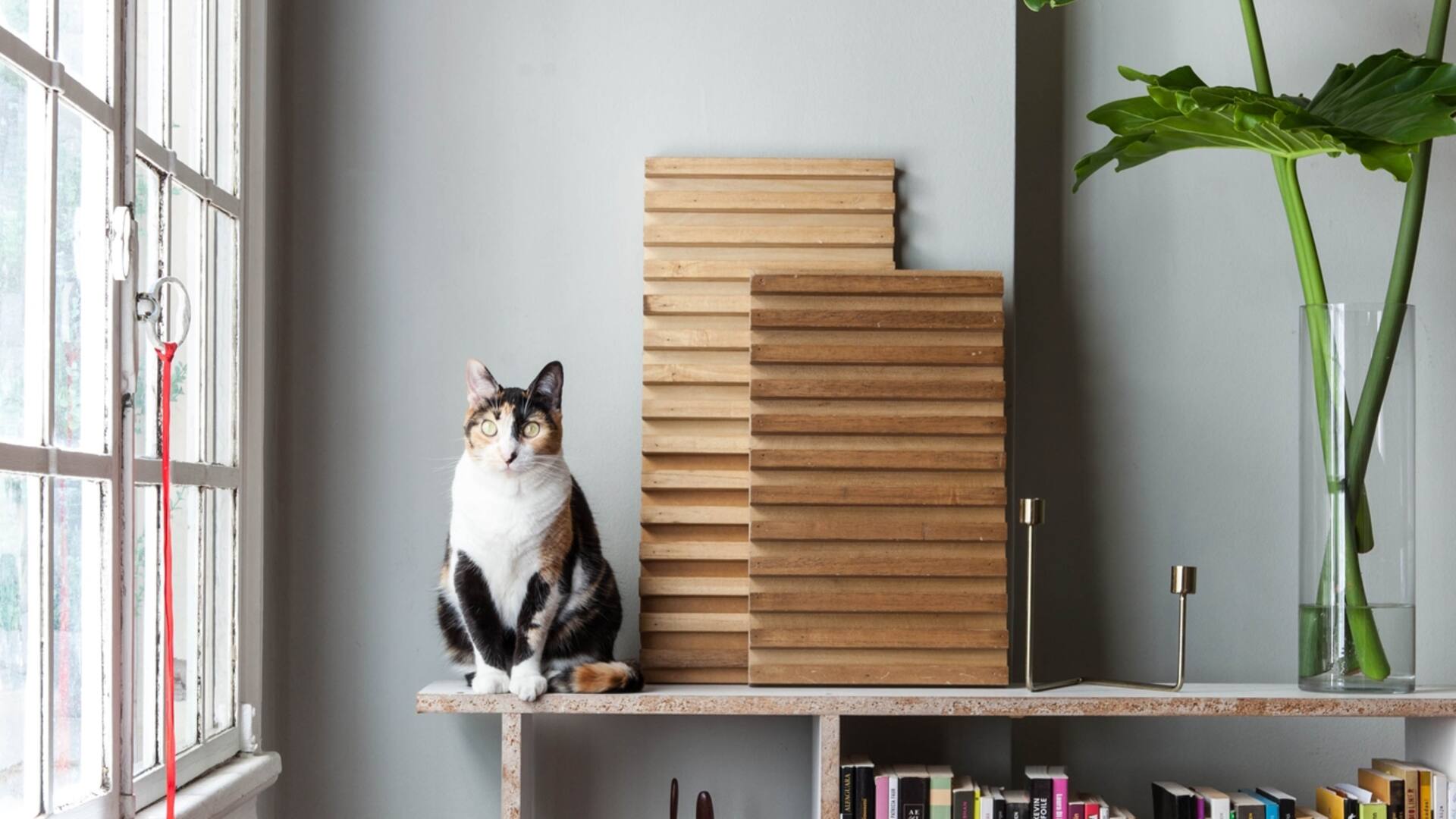 Inspirador. Ideas prácticas y creativas en el hogar-estudio de un arquitecto.