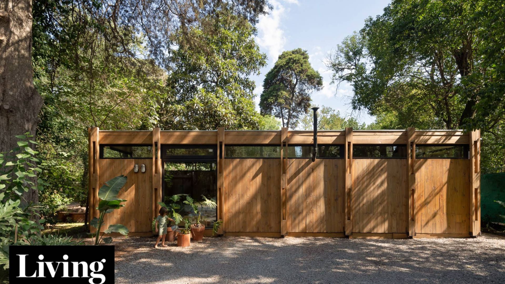 Mimetizado con la naturaleza: un refugio de madera de 50m2 que nació como sala de ensayo y se convirtió en vivienda familiar
