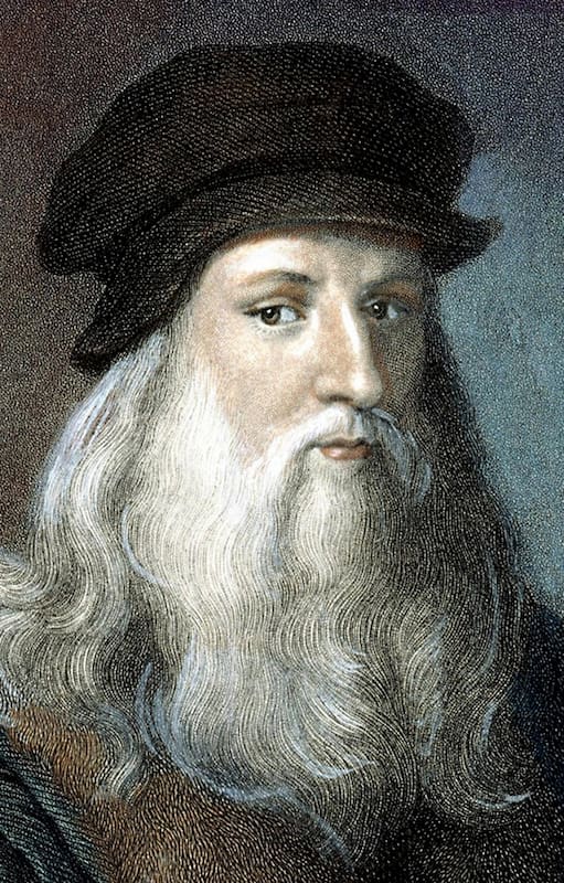 Leonardo da Vinci. “A veces se debe ir despacio, detenerse, incluso retrasarse. Eso permite madurar las ideas”