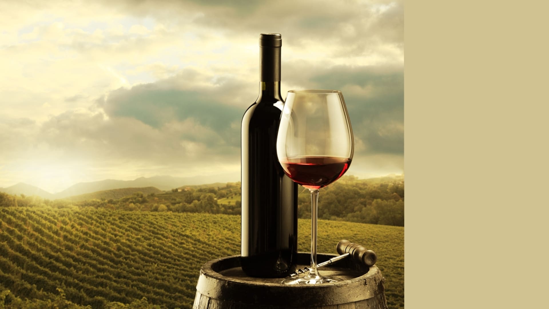 Coronavirus y vino.Ley seca, la vendimia y las vinotecas: ¿abiertas o cerradas?