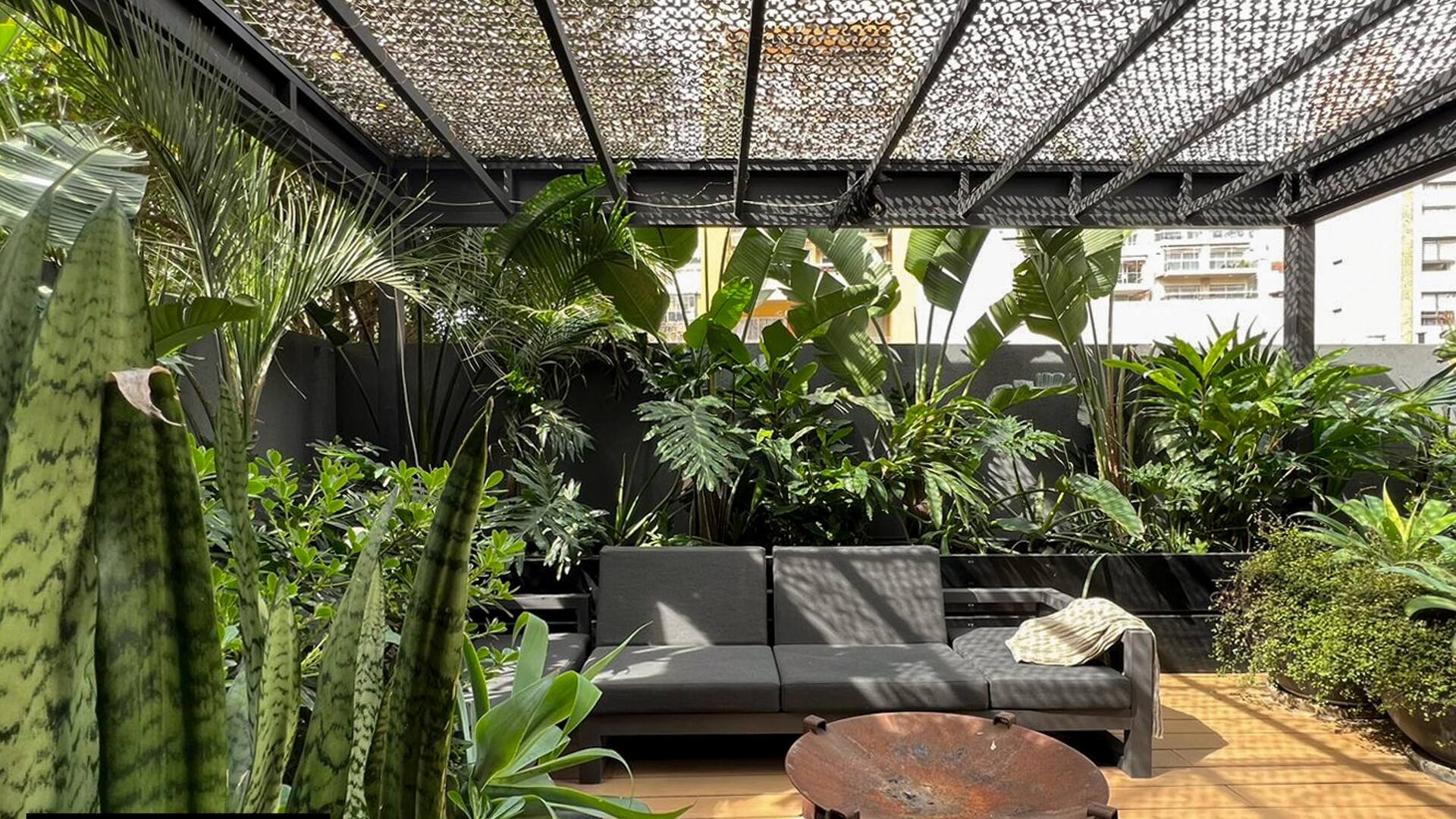 En Caballito: Encontró el depto ideal para recibir a sus hijos, lo actualizó con diseño y convirtió su patio olvidado en oasis tropical