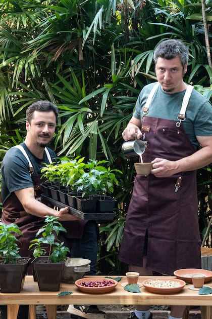 Un vivero porteño de tres hermanos hoy abre un bar que ofrece café producido de su propia planta