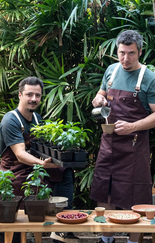 Un vivero porteño de tres hermanos hoy abre un bar que ofrece café producido de su propia planta