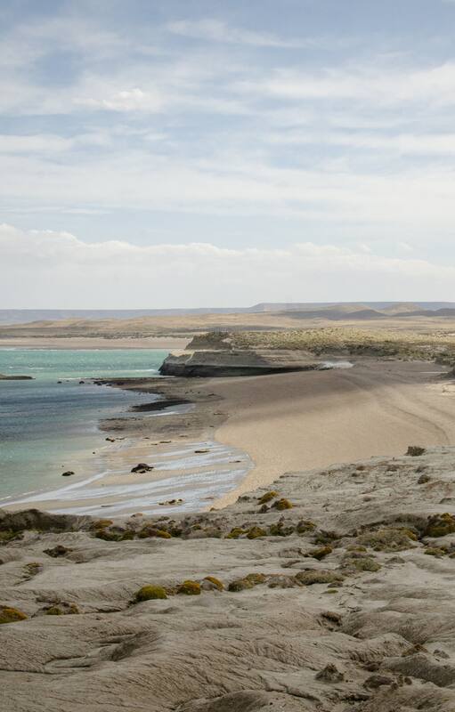 Una playa patagónica con acantilados, piletas naturales y bosques sumergidos a la que pocos llegan