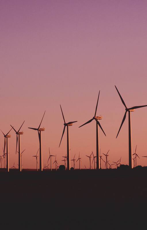 Medio ambiente: después de un 2019 agitado, llegan los desafíos para 2020