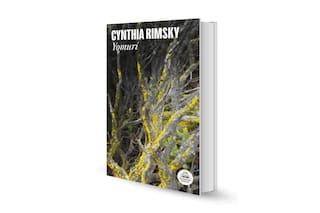 Yomurí, de Cynthia Rimsky