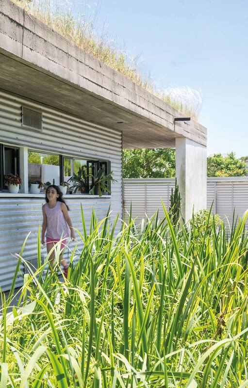 Paso a paso, cómo una terraza se transformó en un techo verde