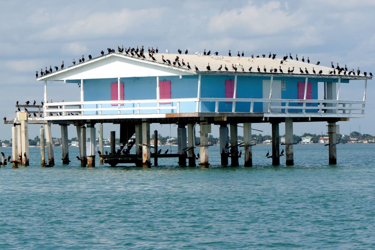 Miami: 10 nuevas propuestas para recorrer la ciudad