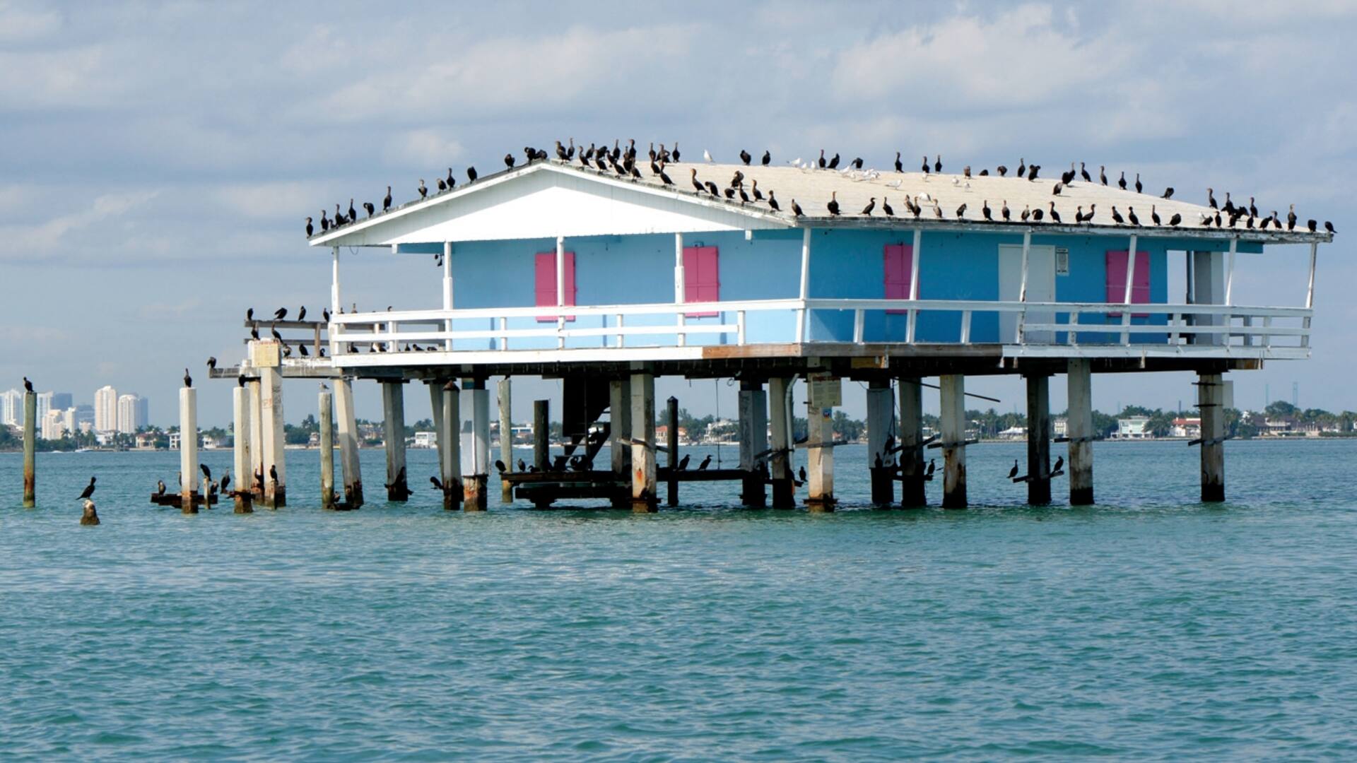 Miami: 10 nuevas propuestas para recorrer la ciudad