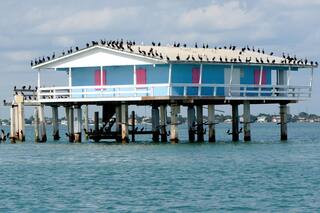 Miami: 10 nuevas propuestas para recorrer la ciudad