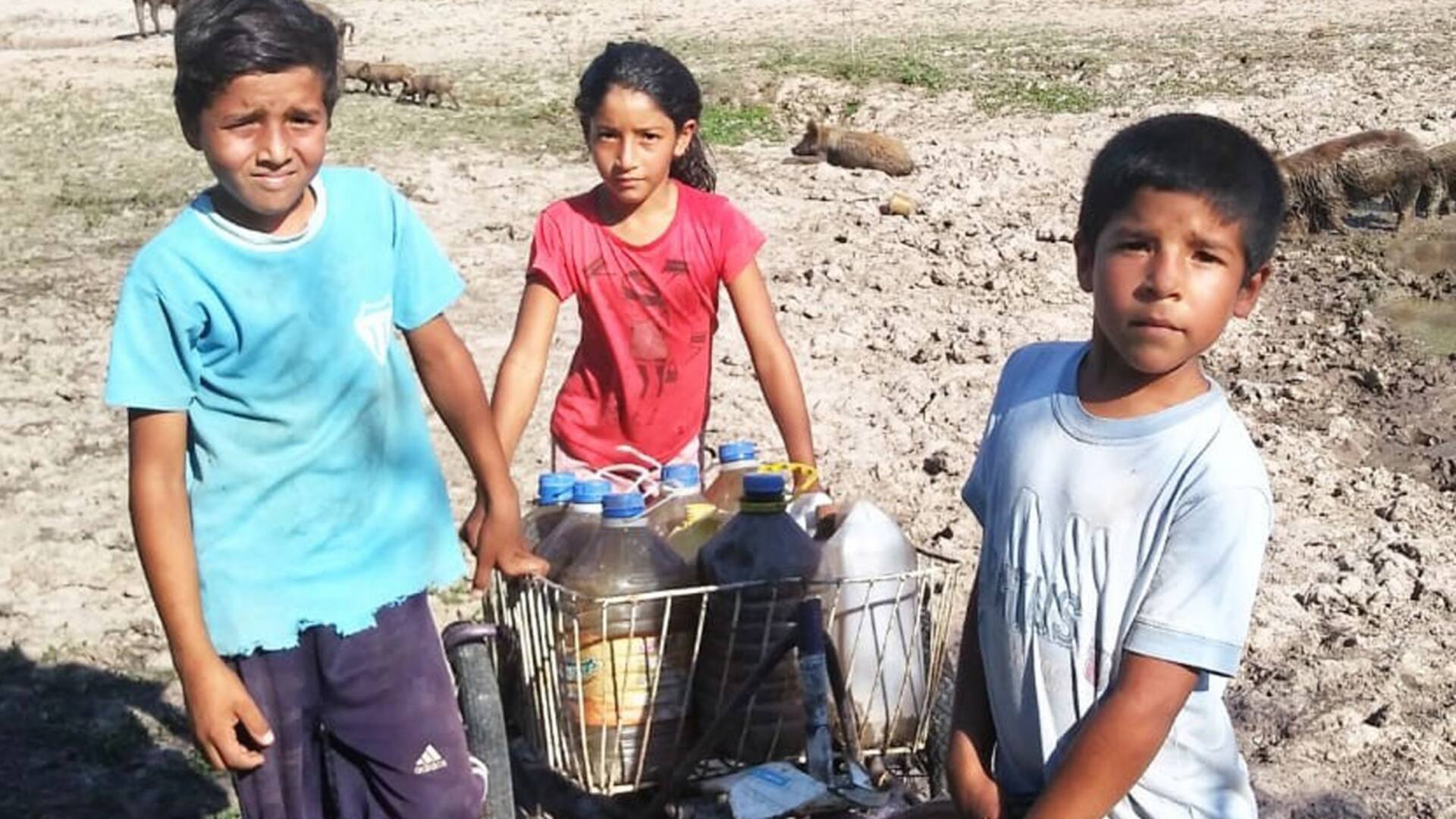 Tres hermanos se bañan y cocinan con el agua del canal en el que viven los chanchos
