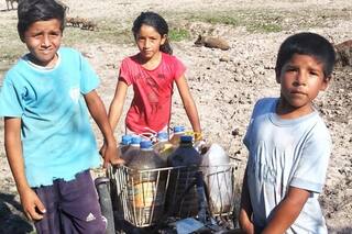 Se bañan y cocinan con el agua del canal en el que viven los chanchos
