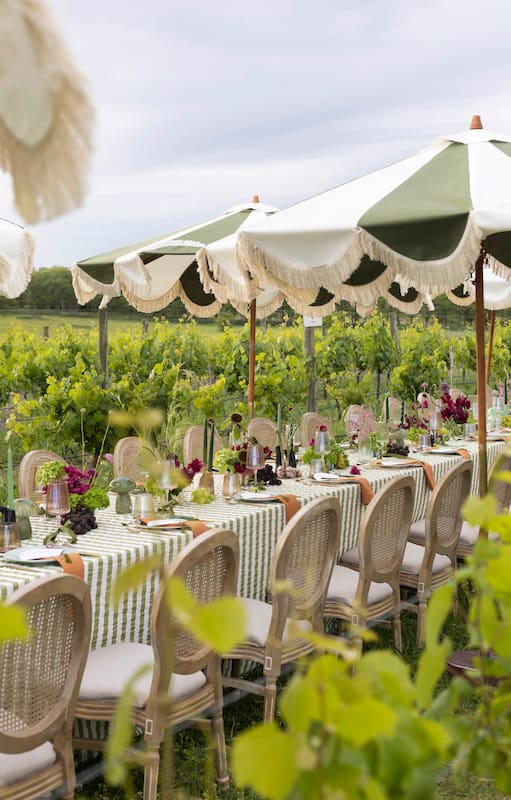 Entre viñedos, una mesa inolvidable para celebrar el fin de año