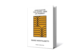 Reseña: ¿Por qué es tan difícil leer un poema?, de Mario Montalbetti