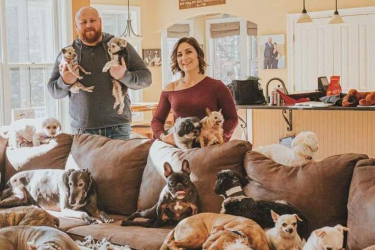 Épico. En la nieve, armaron una increíble sorpresa para sus 21 perros rescatados