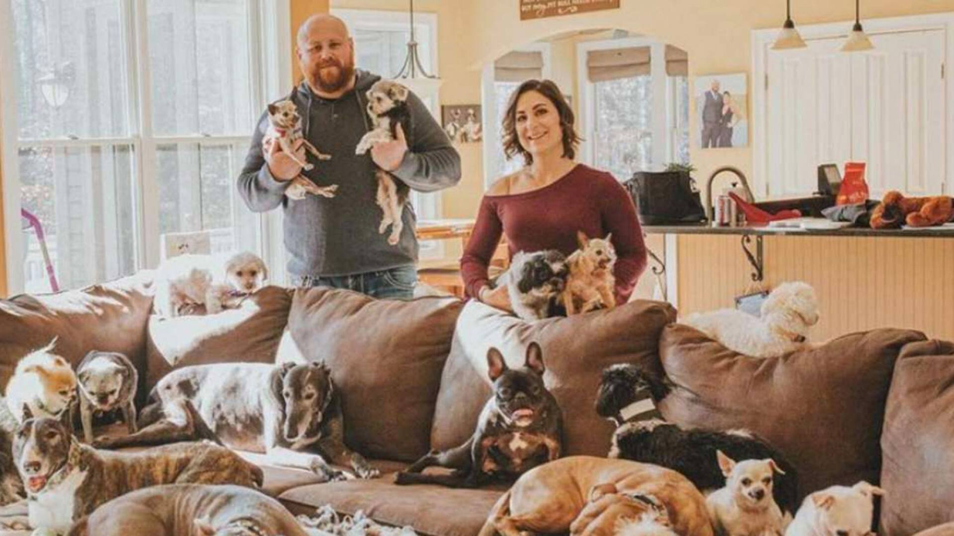 Épico. En la nieve, armaron una increíble sorpresa para sus 21 perros rescatados