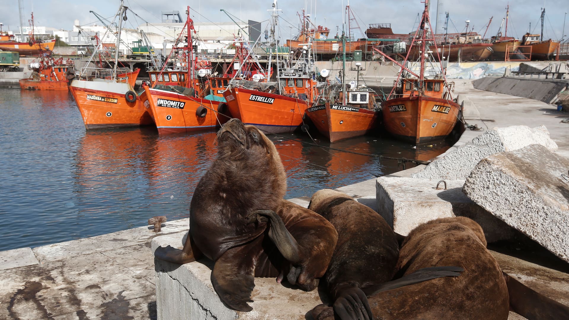 Mar del Plata: qué actividades disfrutar en Semana Santa