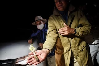 Los perejiles de Juan sin tierra