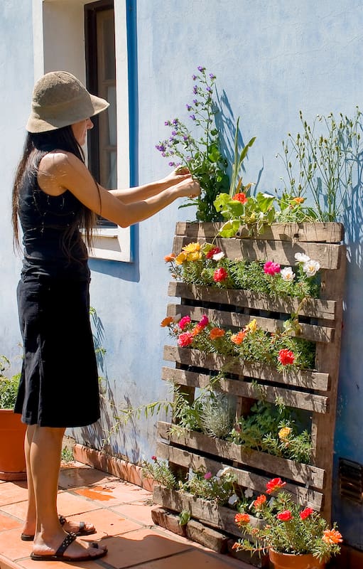 Jardines ninja: Cómo hacer crecer plantas en lugares imposibles y salir victorioso