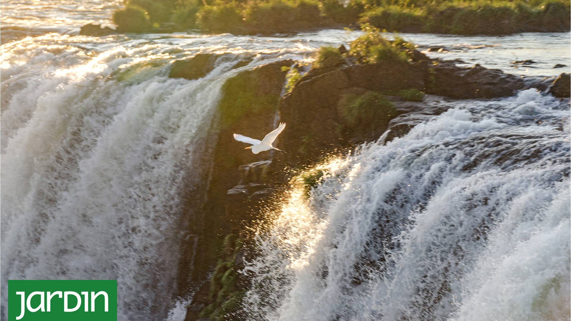 La naturaleza puede ayudar a resolver la crisis climática