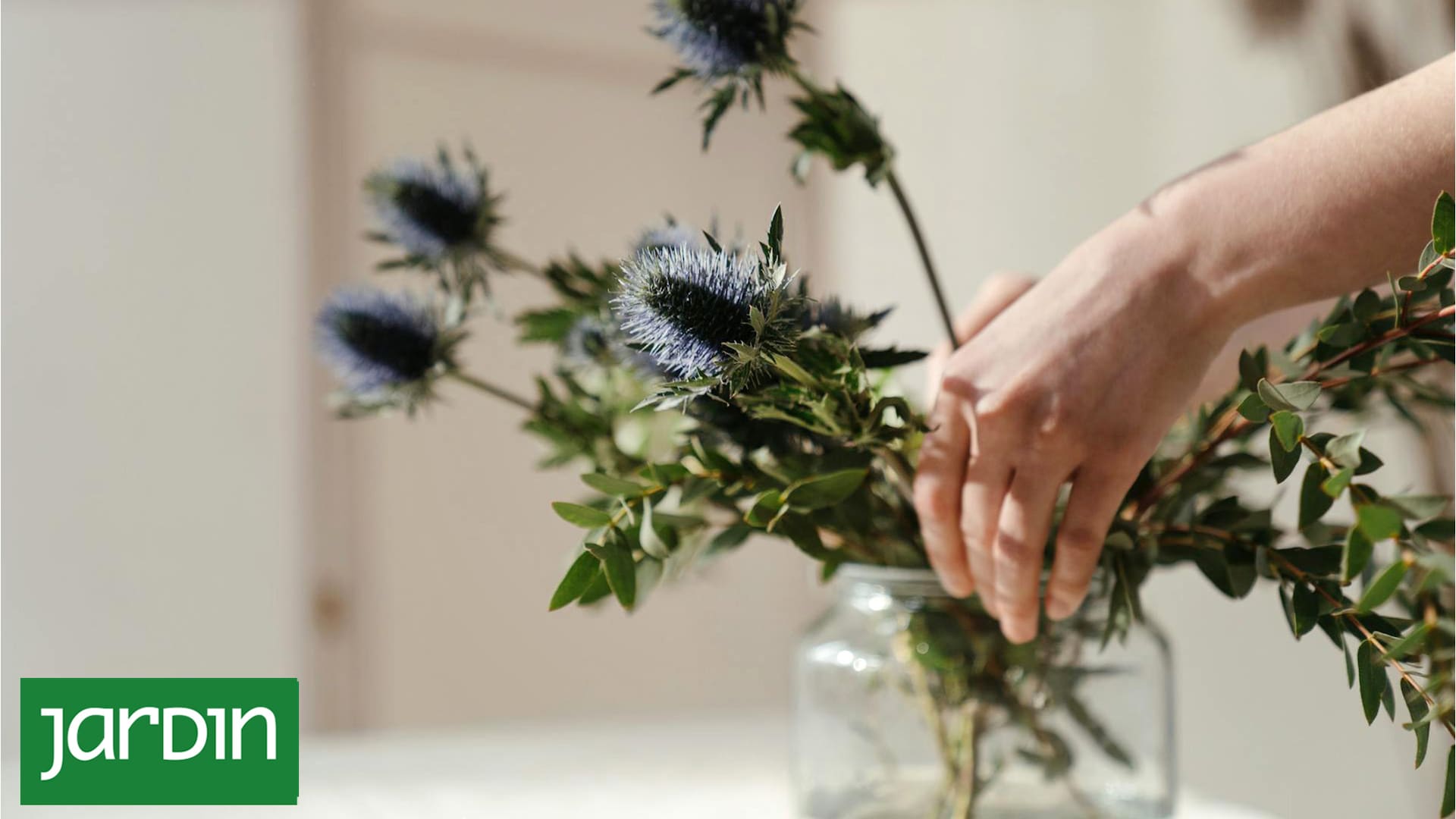 Las plantas fáciles de cuidar que ahora son tendencia entre paisajistas y floristas