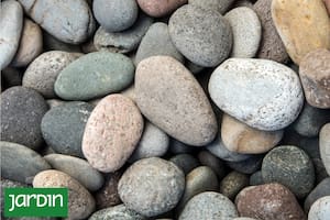 Cuáles son y para qué se usa cada una en jardinería y paisajismo