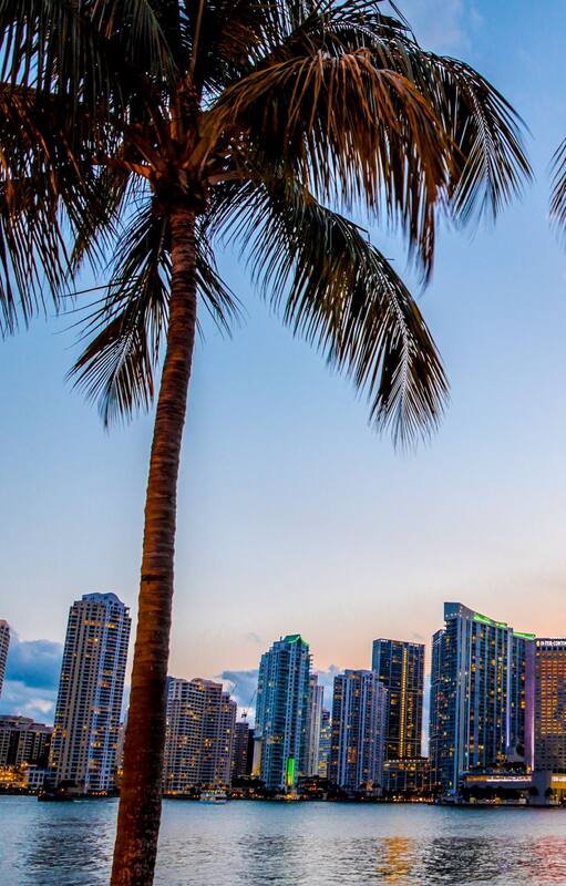 Viajes: pese a la pandemia los argentinos volvieron a Miami
