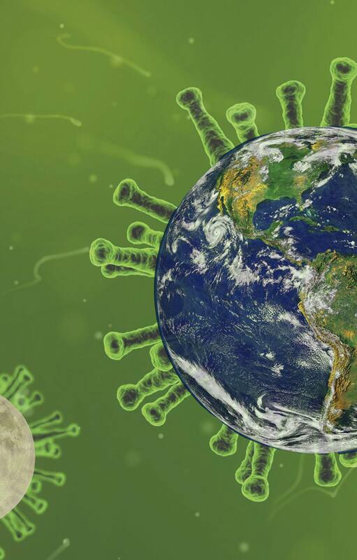 Coronavirus y biodiversidad. Reflexiones sobre nuestro vínculo con el planeta