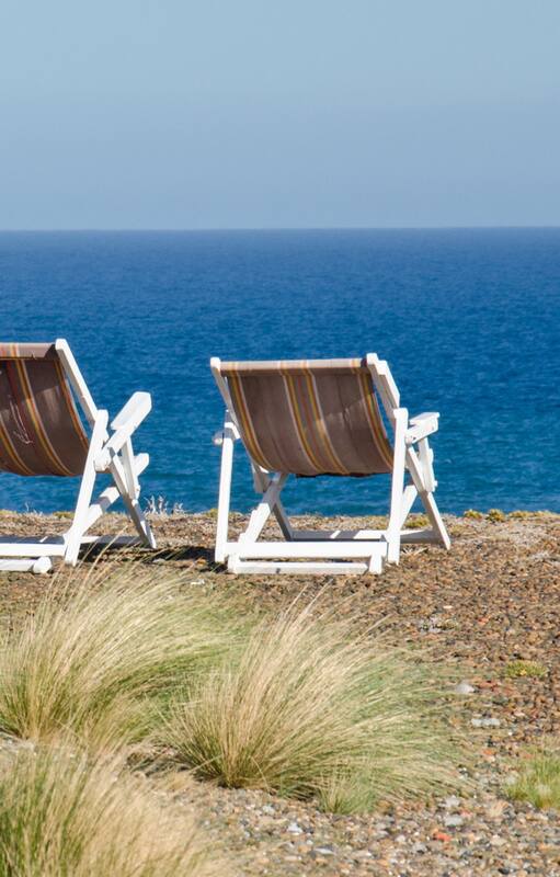 10 nativas ideales para armar tu jardín soñado frente al mar