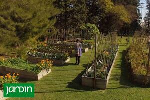 Así cultivan alimentos premium los chefs y agrónomos unidos