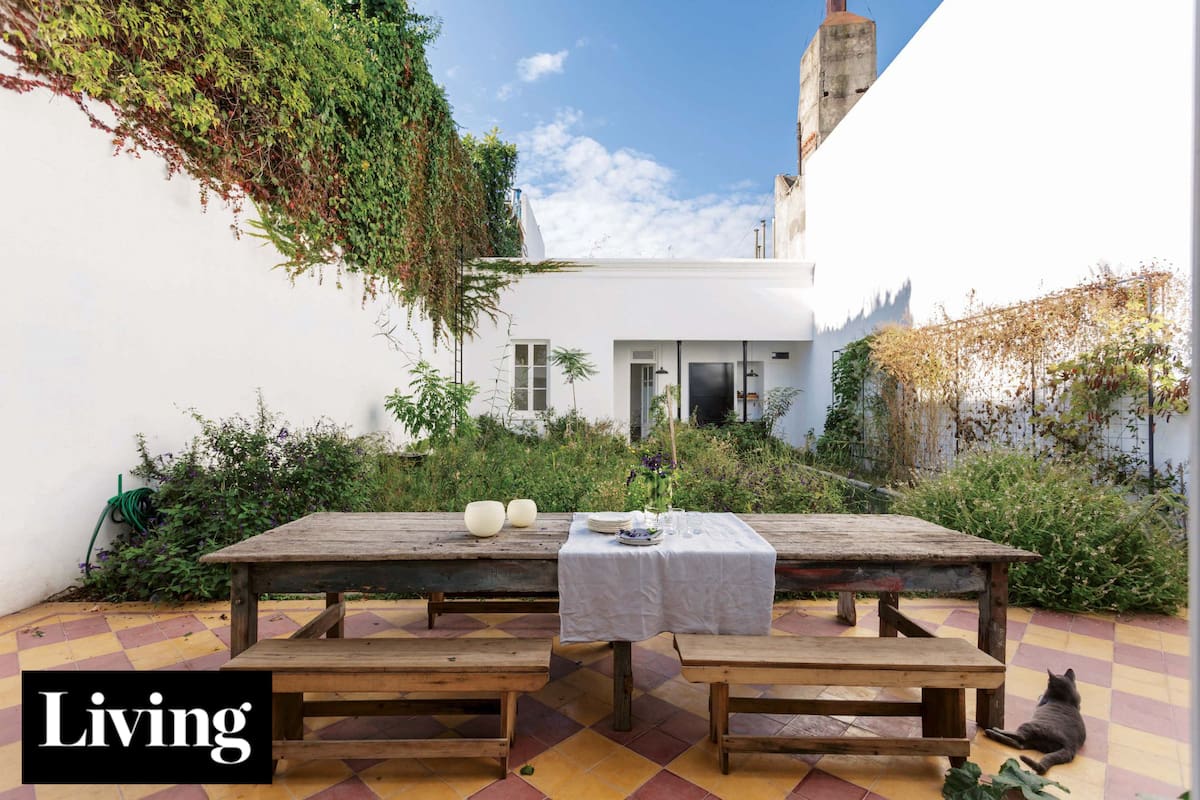 Cómo sumar plantas nativas en cualquier casa o departamento y contribuir con el paisaje urbano