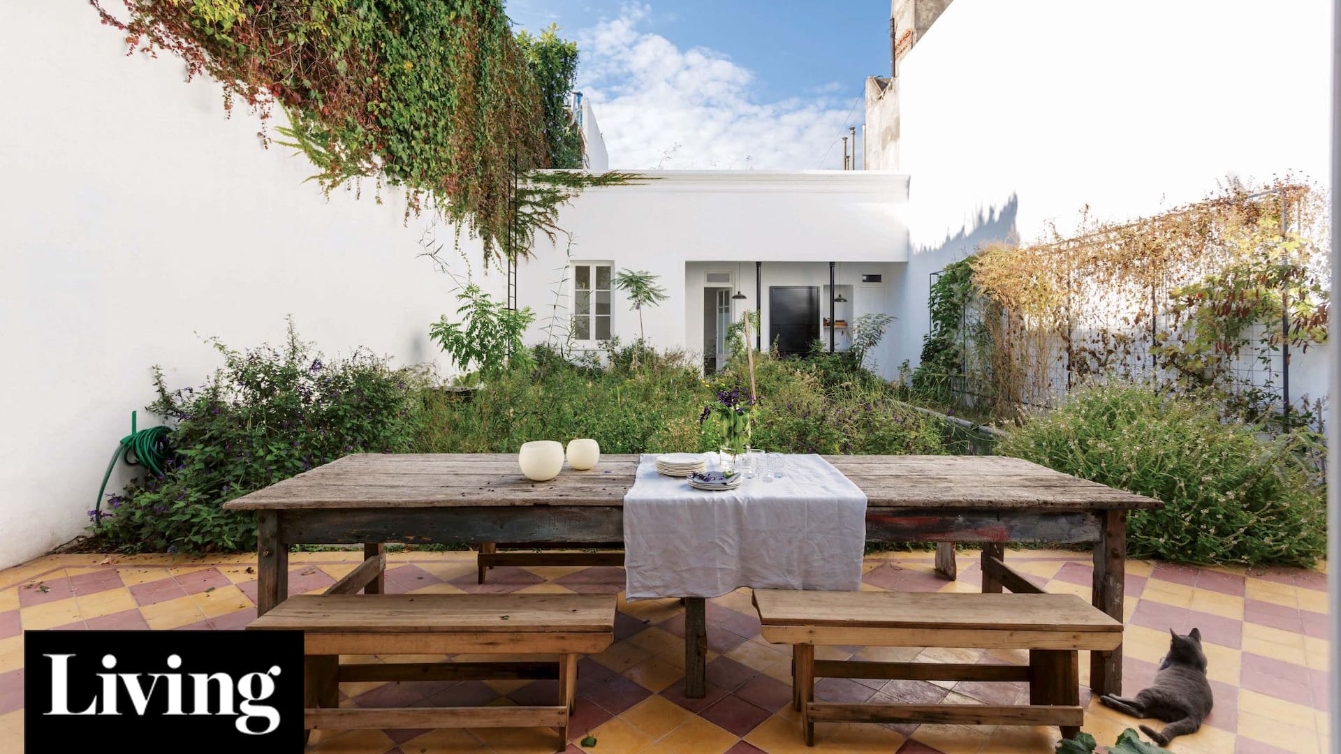 Cómo sumar plantas nativas en cualquier casa o departamento y contribuir con el paisaje urbano
