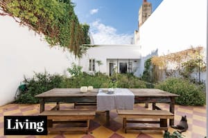 Cómo incorporar plantas nativas en cualquier casa o departamento