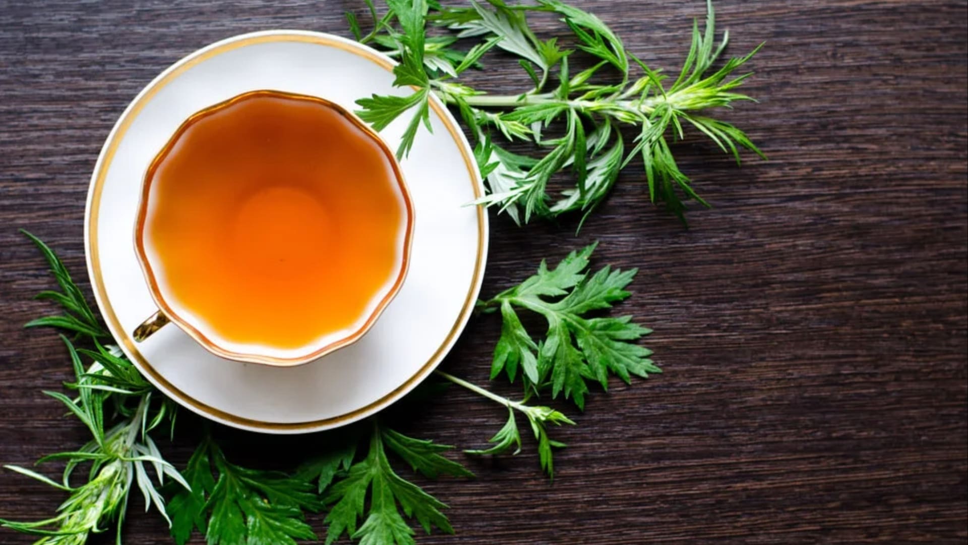 La hierba aromática que sirve para bajar la fiebre y se consigue en todas partes