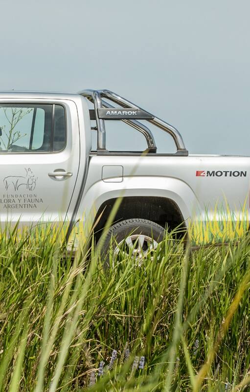 Amarok: confort y desempeño todo terreno