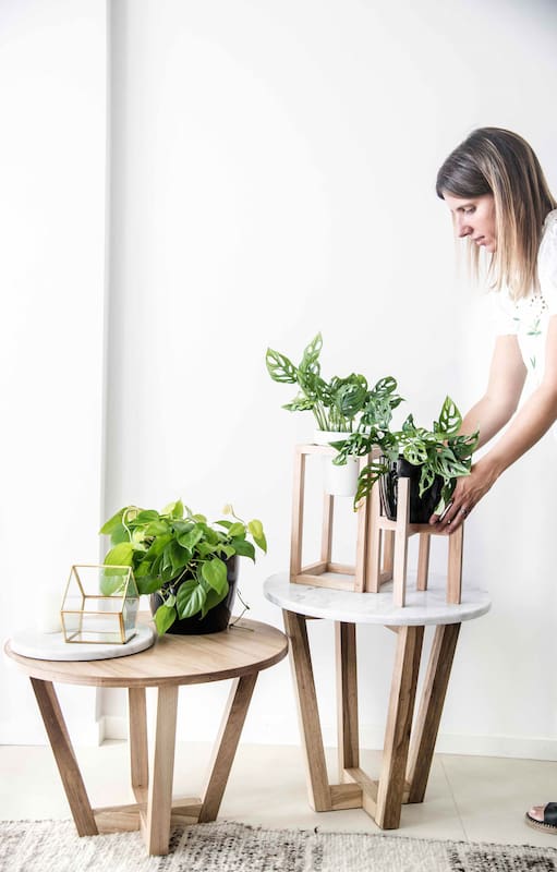 Pulverizar con agua templada, una de las recomendaciones para mantener la humedad de las plantas de interior.