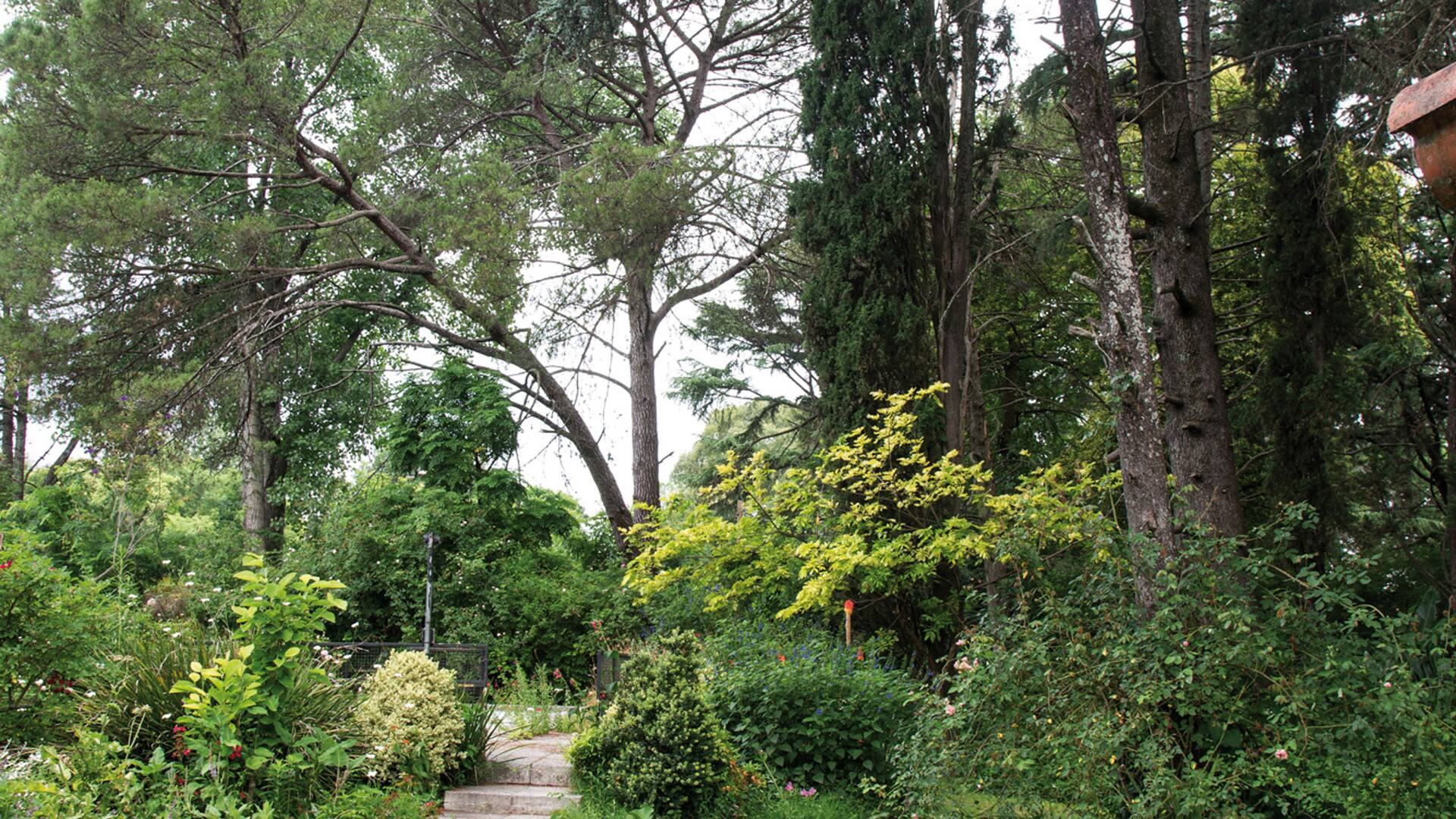 Un jardín natural donde predominan la experimentación y el amor por las plantas