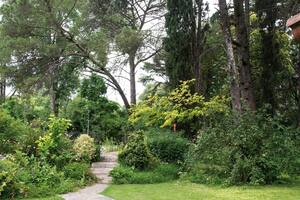 Un jardín natural donde predominan la experimentación y el amor por las plantas