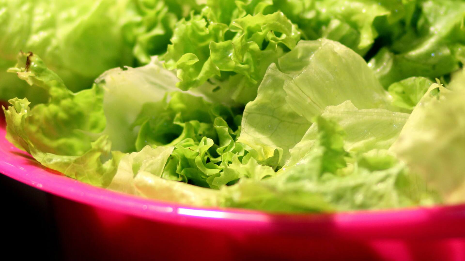 De la huerta a la mesa. Lechugas todo el año, pero sobre todo en primavera y verano