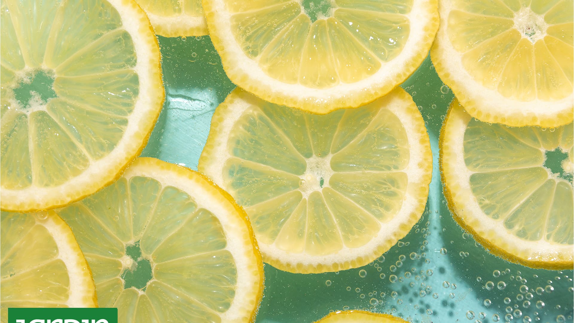 Tres recetas irresistibles con limón para disfrutar en los días de calor