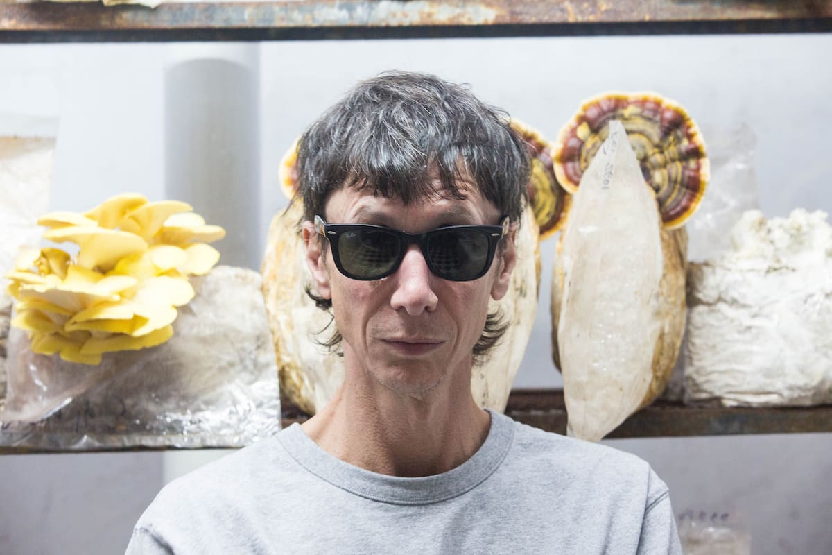 Un fotógrafo de moda empezó a cultivar hongos y hoy arma espacios para restaurantes como el de Martitegui y Narda Lepes