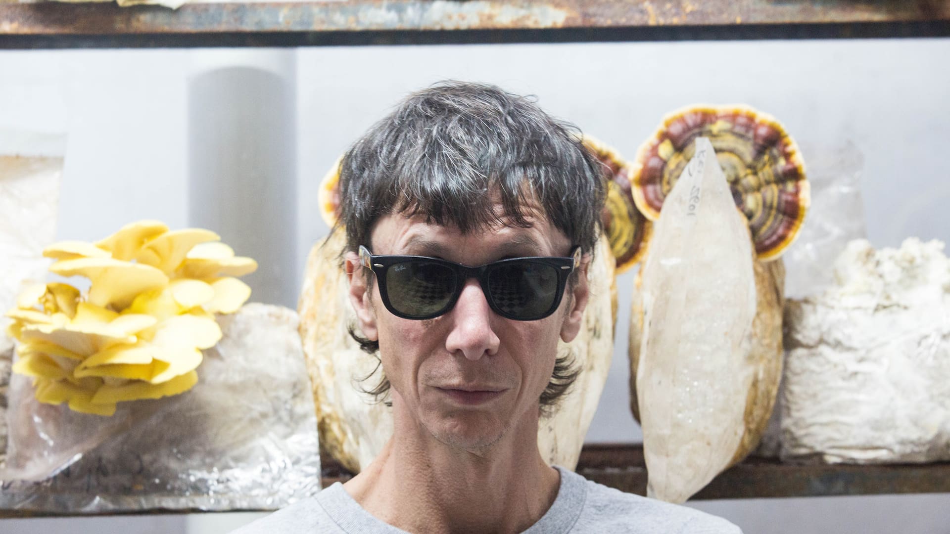 Un fotógrafo de moda empezó a cultivar hongos y hoy arma espacios para restaurantes como el de Martitegui y Narda Lepes
