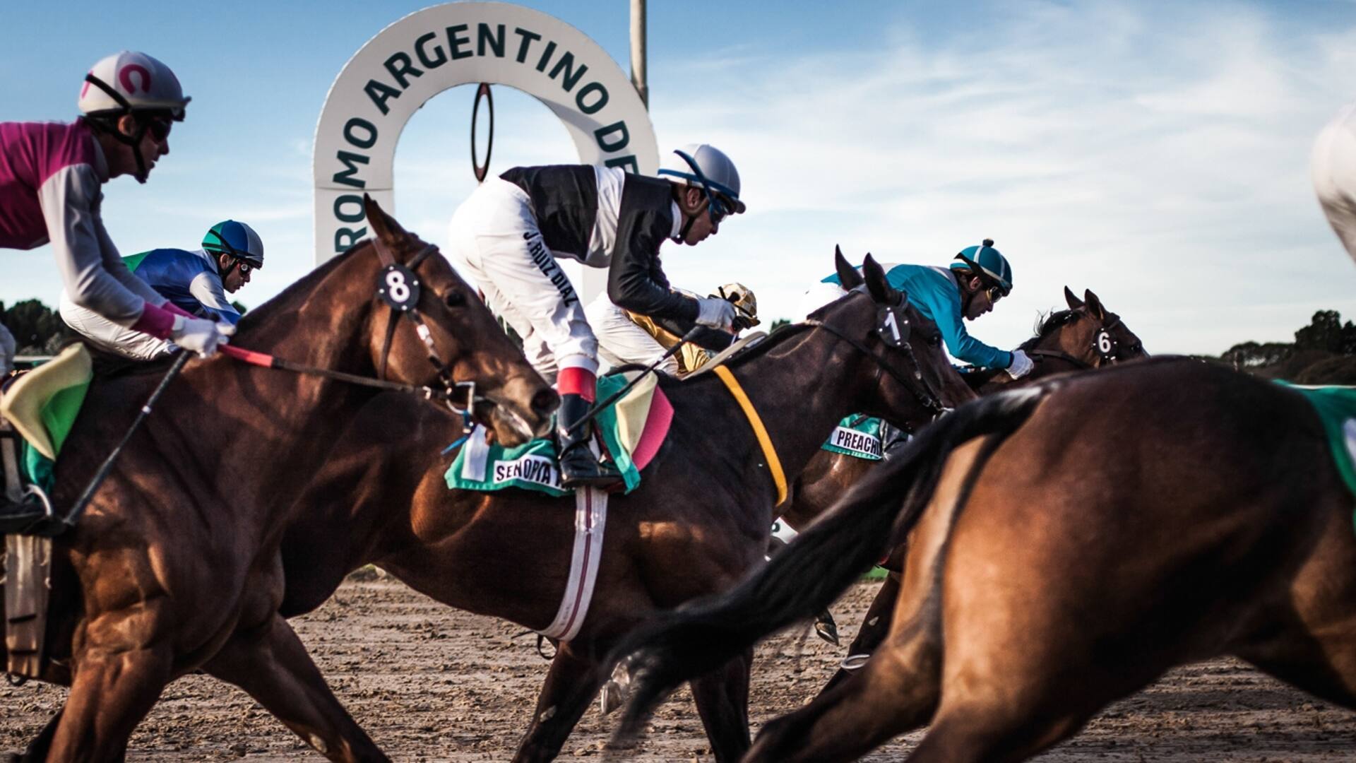 La paciente fragua de un caballo campeón