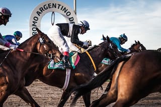 La paciente fragua de un caballo campeón