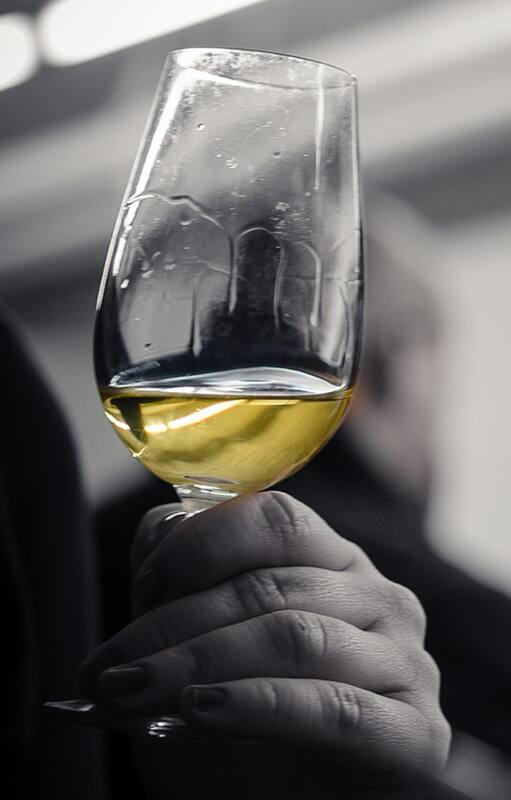Vinos blancos. Los elegidos para el invierno. ¿Cuáles probar?