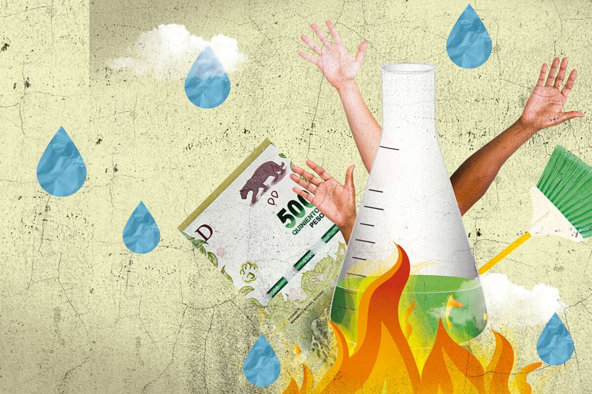 Ciencia en crisis. "Estamos poniendo plata de nuestro bolsillo para seguir investigando"