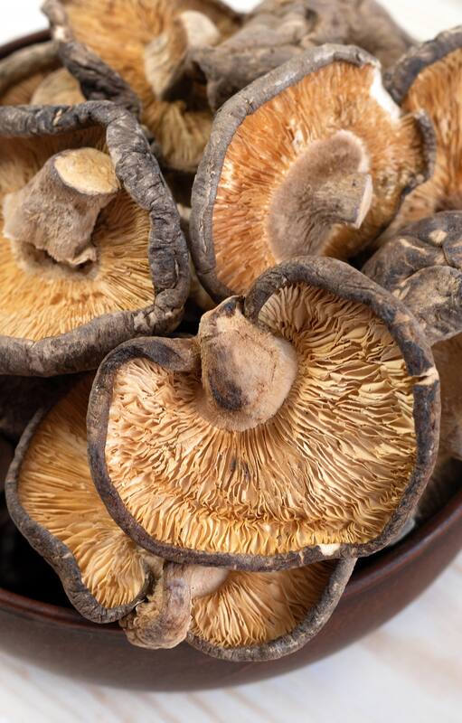 Cuál es el superhongo que mejora las defensas, protege el corazón y se puede cultivar en casa