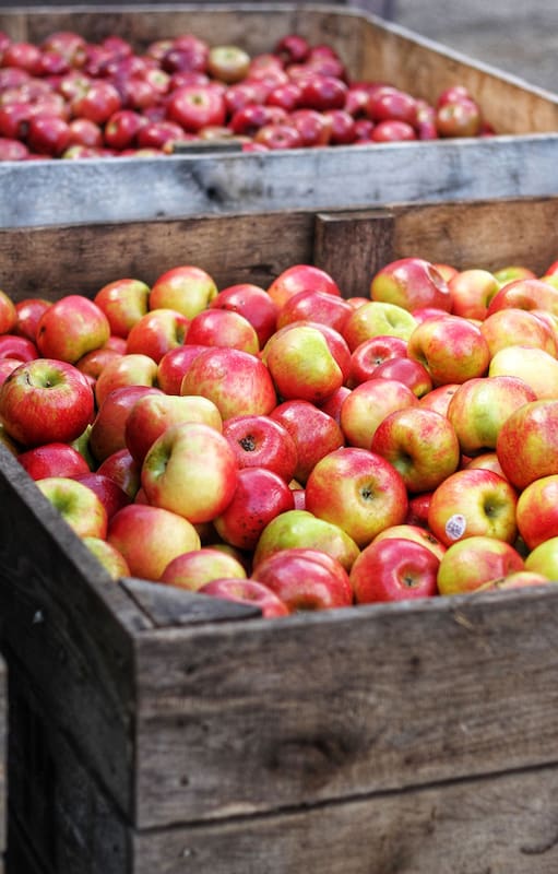 En postres, ensaladas o conservas: ideas para aprovechar la temporada de manzanas